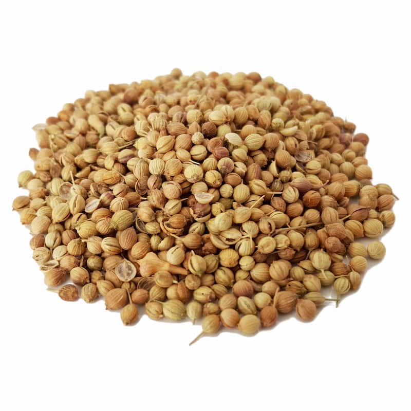 تصویر 4 از تخم گشنیز اعلا مناسب استفاده در ترکیبات دارویی سنتی
